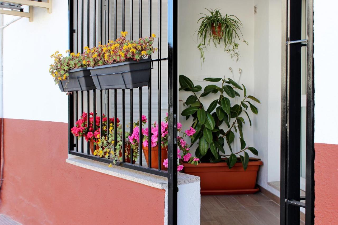 Apartamento Turistico La Vera Aldeanueva de la Vera Εξωτερικό φωτογραφία
